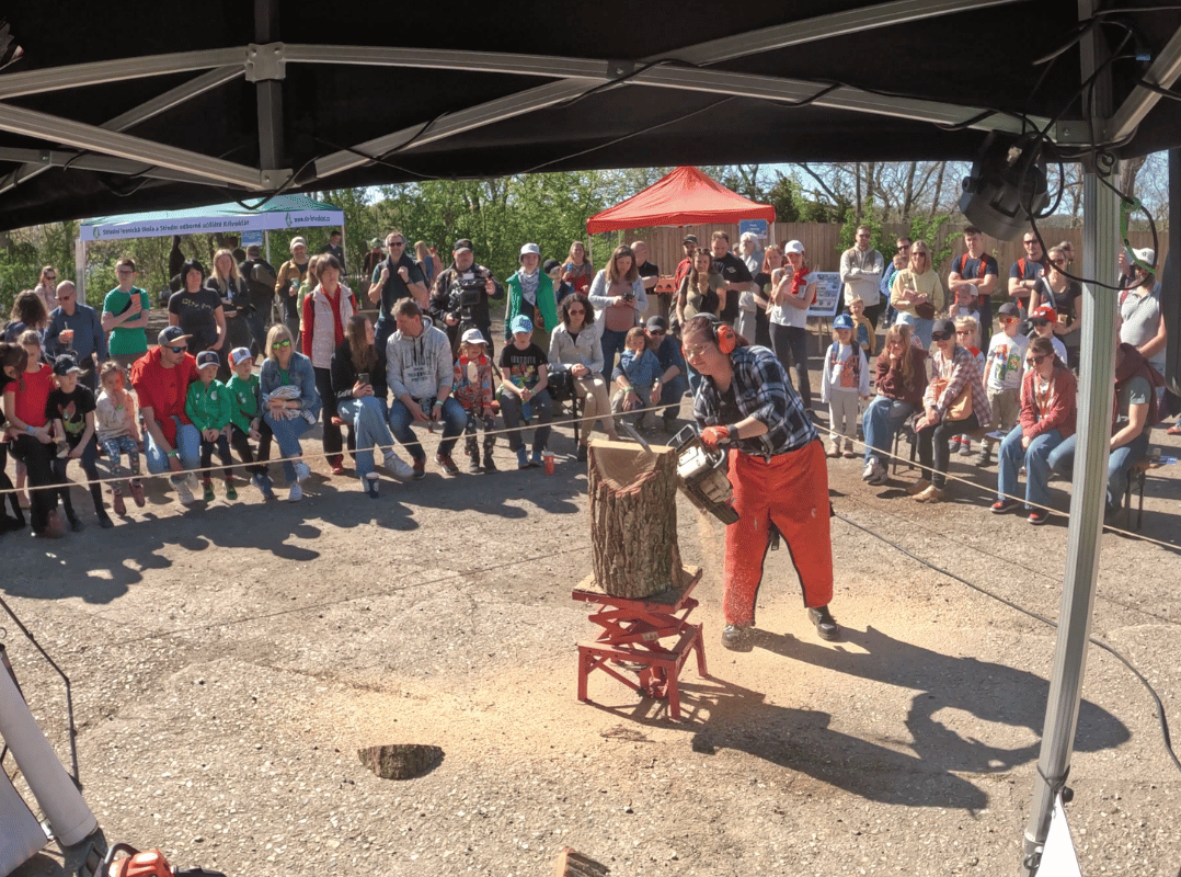 Speedcarving show